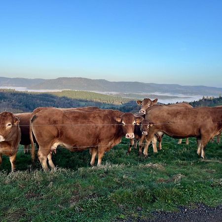 Gite De Montagne -Bellefosse Alsace Exterior foto