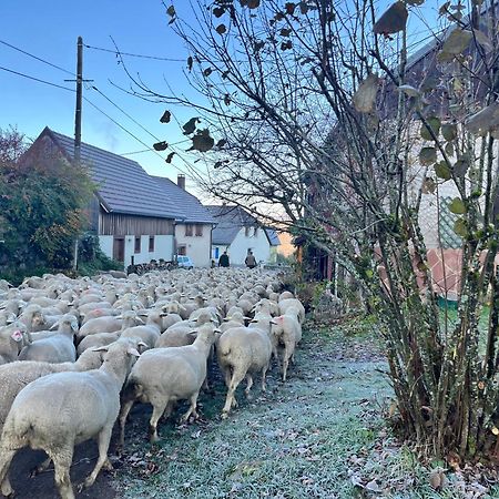 Gite De Montagne -Bellefosse Alsace Exterior foto