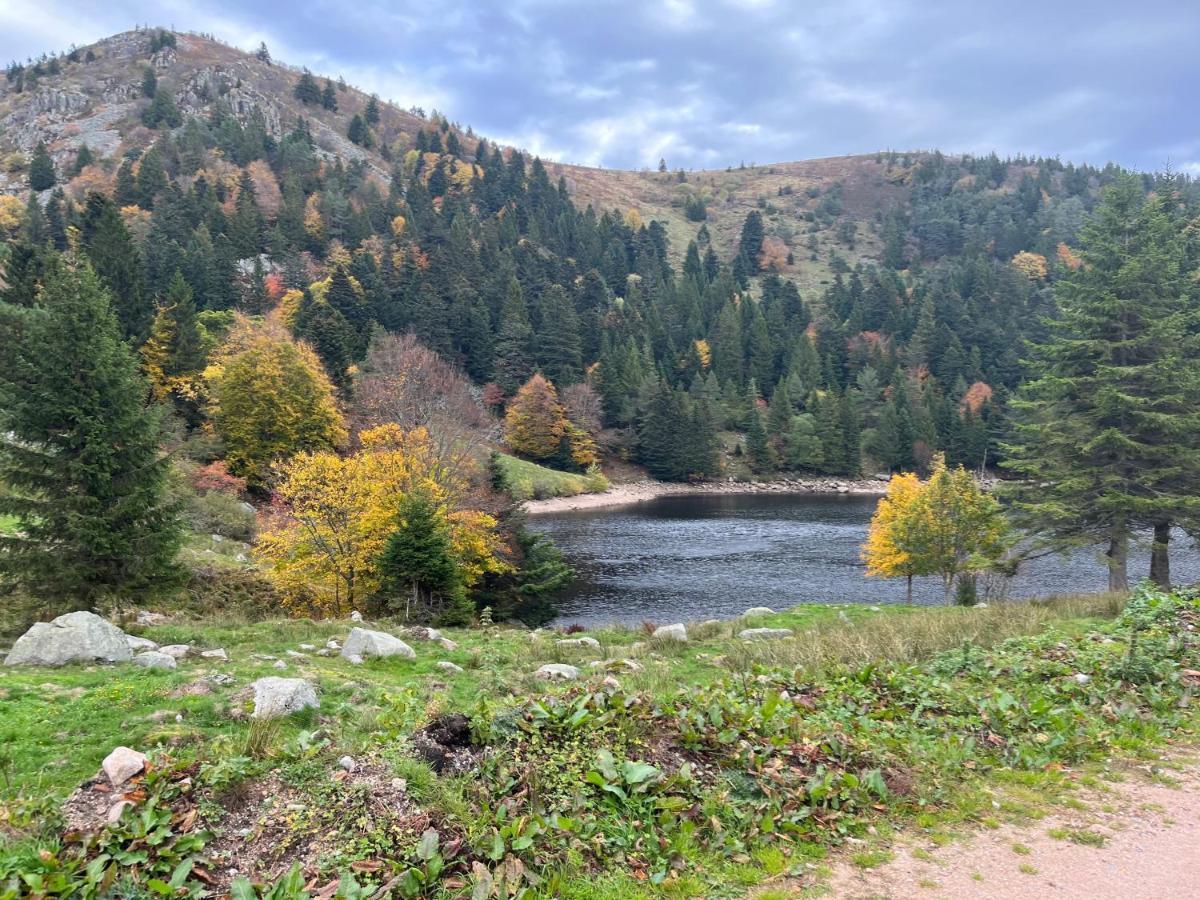 Gite De Montagne -Bellefosse Alsace Exterior foto