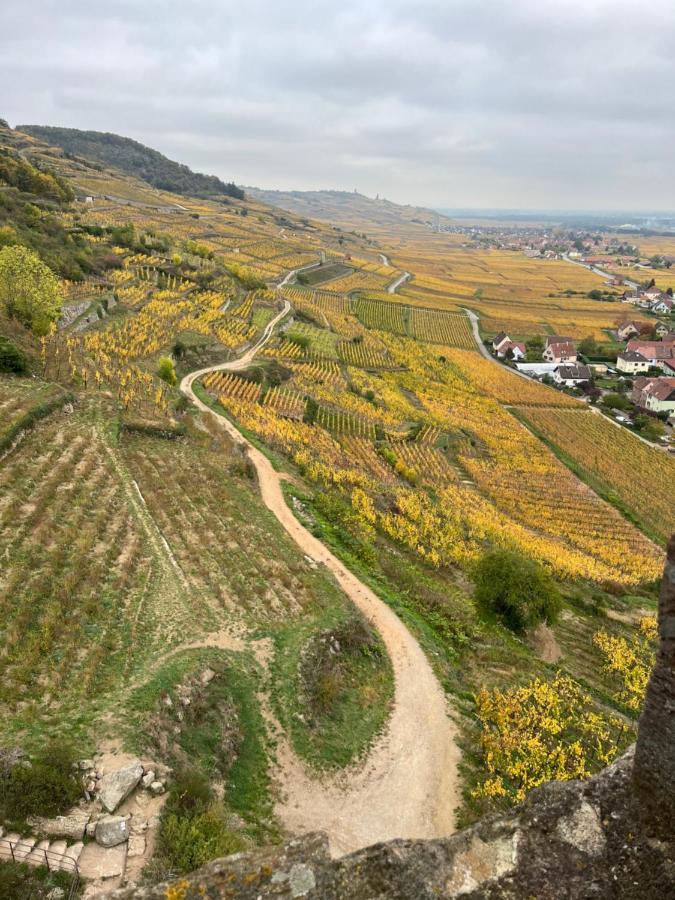 Gite De Montagne -Bellefosse Alsace Exterior foto