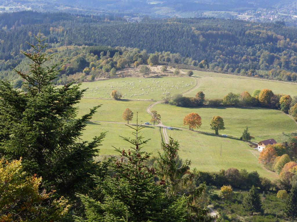 Gite De Montagne -Bellefosse Alsace Exterior foto